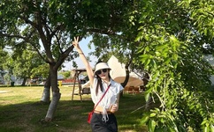 欧洲大属黑吊粗大